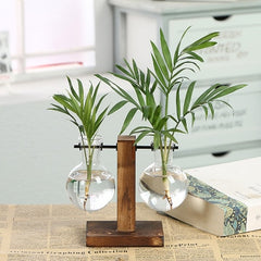 Daily Roots – Minimalist Glass Vase Set (2-Pack)